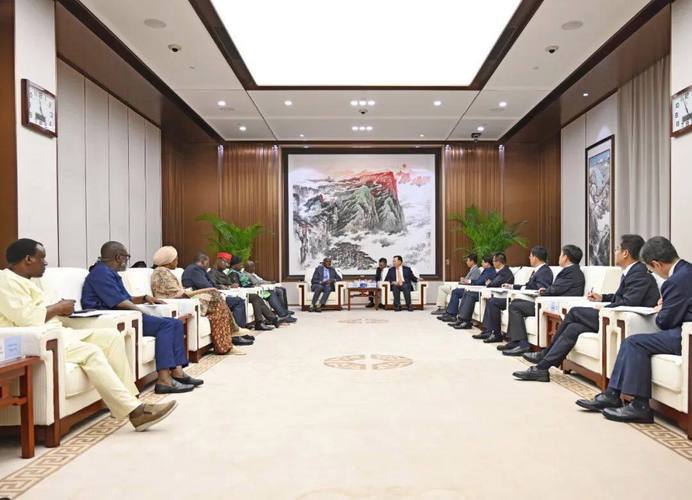 王毅会见尼日利亚外长图加尔