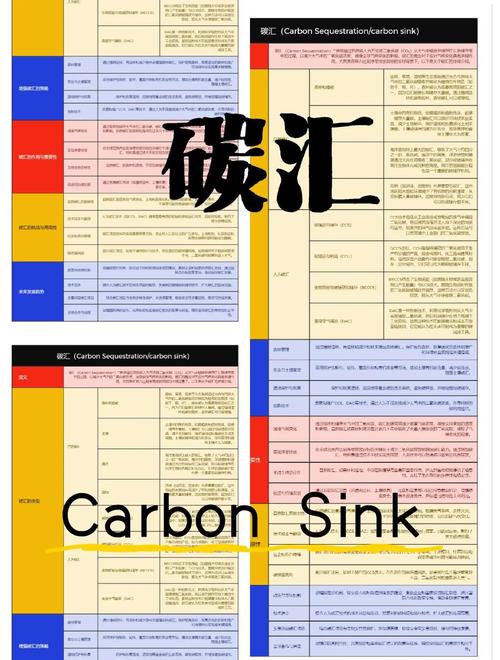 新研究显示气候变化威胁北极碳汇功能